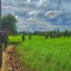 တန့်ဆည် - ကံထူးမလမ်းပိုင်းတွင် စစ်ကောင်စီတပ် အား PDF ပူးပေါင်းအဖွဲ့များ တိုက်ခိုက်