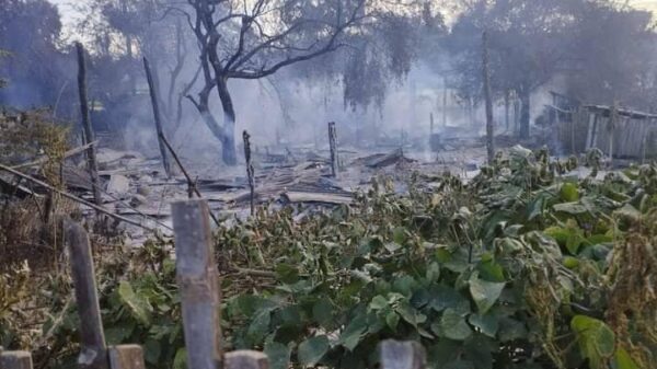 မီးလောင်ပျက်စီးသွားသော နေအိမ်များနှင့် တိရိစ္ဆာန်အချို့၊ ဓာတ်ပုံ-မြိုင်(ပကဖ)၊ BLY