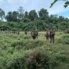 (KIA တပ်မှ ရဲဘော်များအား တွေ့ရစဉ်၊ဓာတ်ပုံ - CJ)