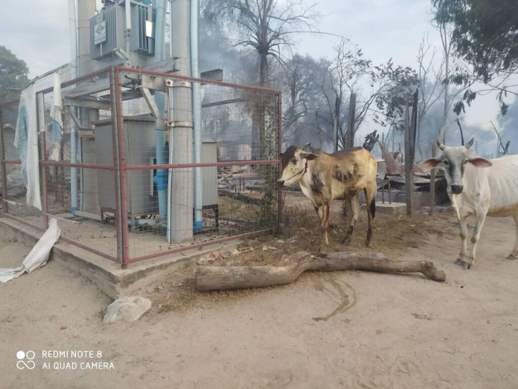 တောင်ရင်းရွာအား စစ်အုပ်စုက မီးရှို့ဖျက်ဆီးသွားပြီးနောက် တွေ့ရစဥ်၊ ဓာတ်ပုံ-တောင်ရိုးသား