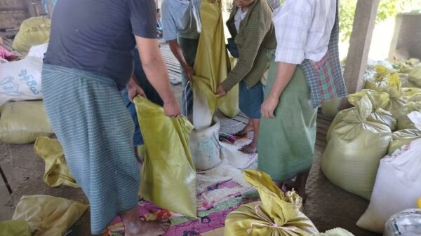 ဓာတ်ပုံ - ပြည်သူ့အုပ်ချုပ်ရေးအဖွဲ့ဆောမြို့နယ်