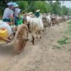 မကွေးတိုင်း မြိုင်မြို့နယ်တွင် စစ်တပ်ရန်ကြောင့် ထွက်ပြေးတိမ်းရှောင်နေရသော ဒေသခံများကို ပြီးခဲ့သည့် ဇူလိုင်က တွေ့ရစဉ်။ (ဓာတ်ပုံ - CJ)