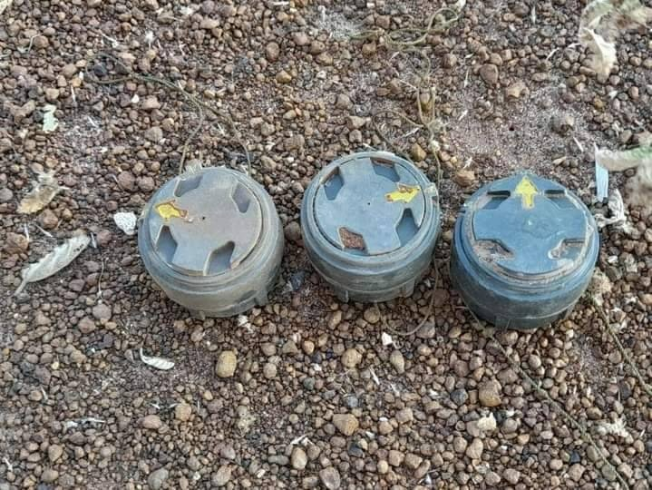 (စစ်ကောင်စီတပ် မြှုပ်ထားခဲ့သော နင်းမိုင်းများအား တွေ့ရစဥ်။ နင်းမိုင်းများအား ရှာဖွေနေစဥ်၊ ဓာတ်ပုံ-ခင်ဦးမြို့နယ်သတင်းမှန်ပြန်ကြားရေး)