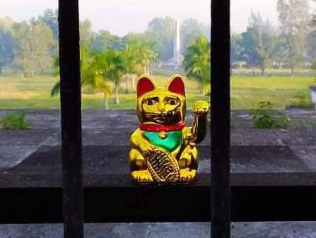 ဓာတ်ပုံ - YRF