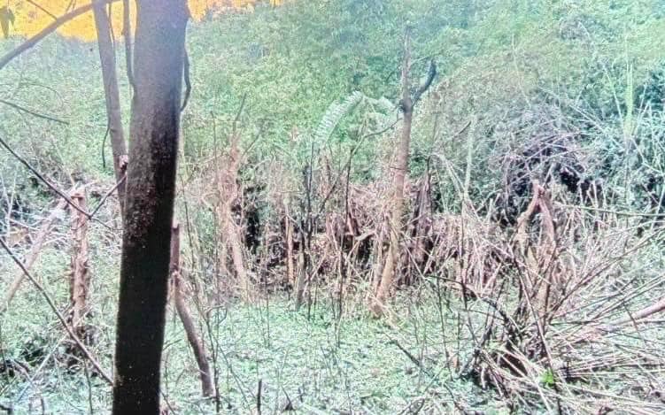 (စစ်ကောင်စီတပ် လေကြောင်းတိုက်ခိုက်မှုပြုလုပ်ပြီးနောက် တွေ့ရစဉ်၊ ဓာတ်ပုံ - KNU)