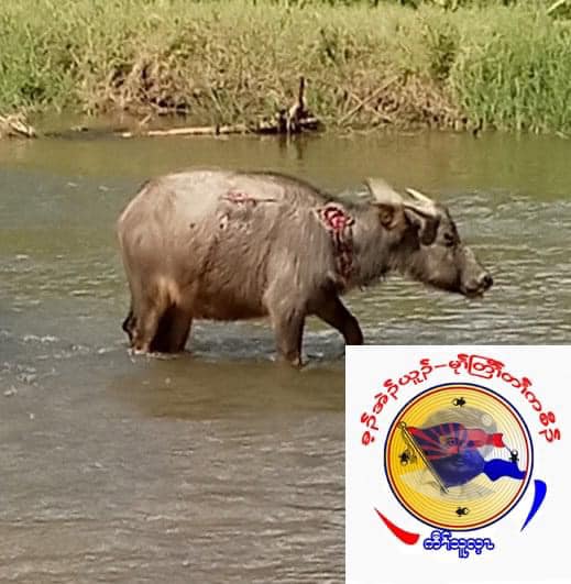ဓာတ်ပုံ - KNU- Mutraw News