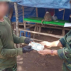ဓာတ်ပုံ - MOD