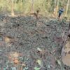 ဓာတ်ပုံ - KNU- Mutraw News
