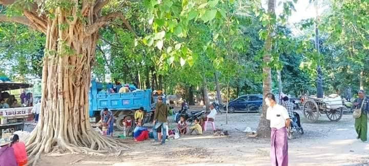 (ထွက်ပြေးတိမ်းရှောင်နေရသော ပြည်သူများ၊ ဓာတ်ပုံ-ဒီပဲယင်းမြို့နယ် ညီနောင်များအဖွဲ့)