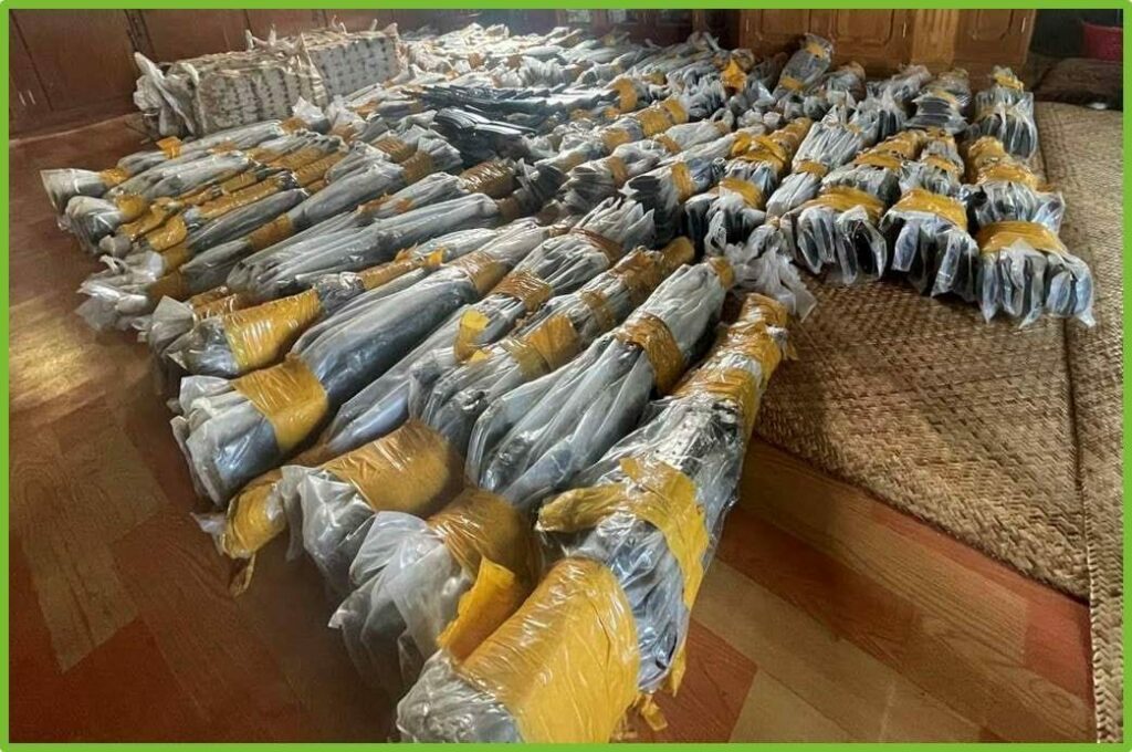 ဟိုပုံးမြို့နယ်အတွင်း လက်နက် အလက် ၅၀၀ နီးပါး ဖမ်းမိတယ်လို့စစ်ကောင်စီသတင်းထုတ်