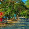 PDF အဖွဲ့အား ဆိုင်ကယ်ဖြင့်လိုက်ပစ်သည့် ပျူအဖွဲ့ကို ပြန်လည်တိုက်ခိုက်