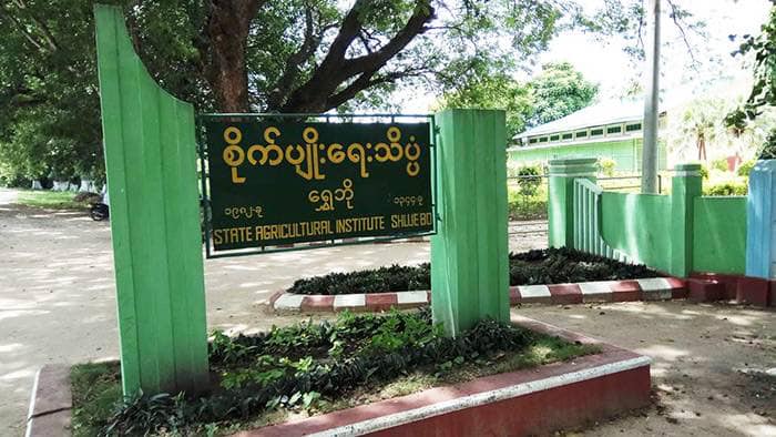 ပန်းရံ၊လိပ်ချင်း ၊စိုက်ပျိုးရေးသိပ္ပံ လမ်းပိုင်းအား တွေ့ရစဥ်။ ဓာတ်ပုံ-CJ