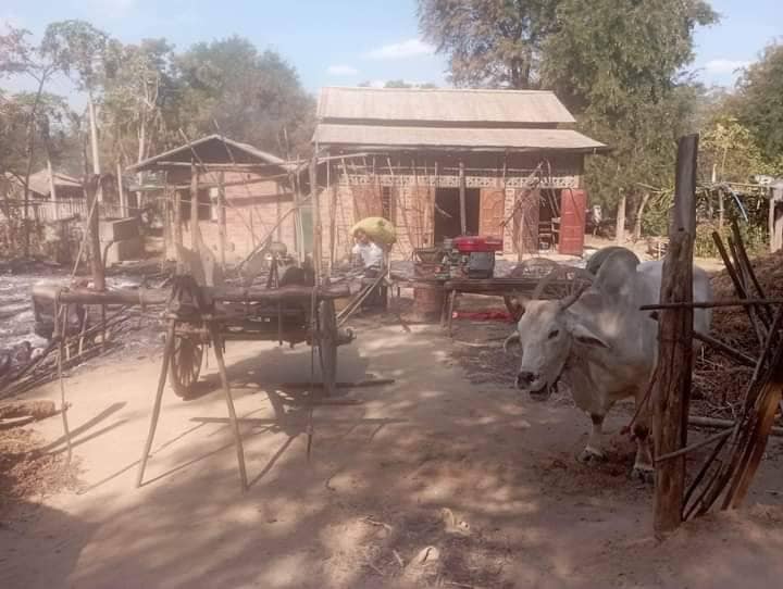 ထောက်ရှာပင်ရွာအတွင်းမီးရှို့ဖျက်ဆီးခံရသော နေအိမ်များ၊ ဓာတ်ပုံ-We Love Myaing