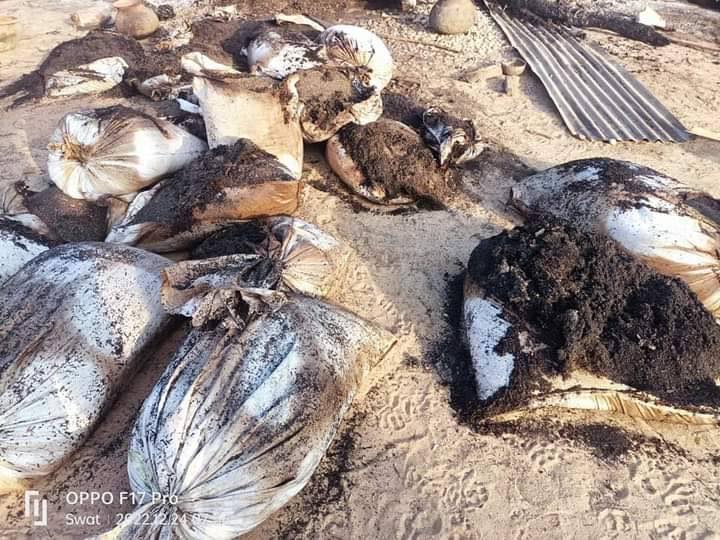 မီးရှို့ဖျက်ဆီးခံရပြီးနောက်တွေ့ရသည့် တောင်ရွာကျေးရွာ၊ ဓာတ်ပုံ-နွေဦးတော်လှန်ရေး-မြိုင်