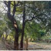 (KNLA၊ PDF ပူးပေါင်းတပ်မှ ရဲဘော်များအား တွေ့ရစဥ်၊ဓာတ်ပုံ - News and Information of the Southern Military Region)