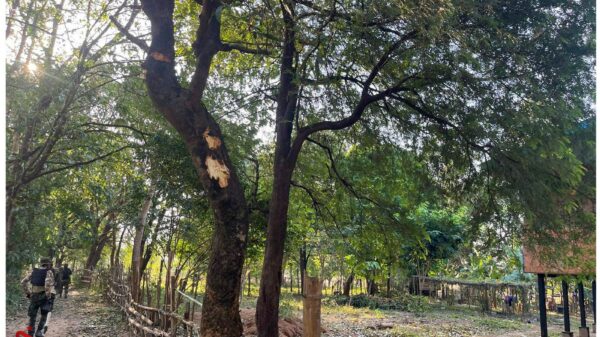 (KNLA၊ PDF ပူးပေါင်းတပ်မှ ရဲဘော်များအား တွေ့ရစဥ်၊ဓာတ်ပုံ - News and Information of the Southern Military Region)