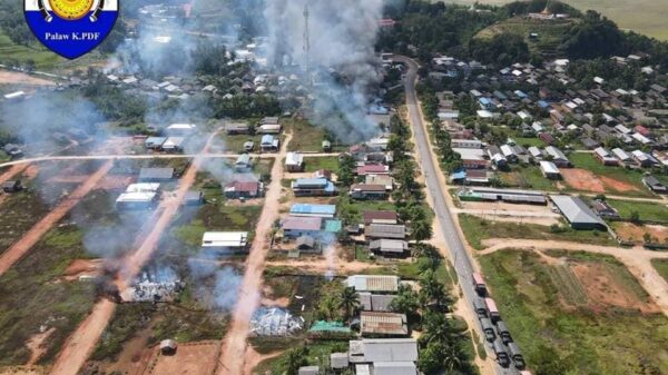 (စစ်ကောင်စီ ဝင်ရောက်မီးရှို့ဖျက်ဆီးခဲ့သော မြိတ်-ပုလောလမ်းမကြီးဘေးမှ ကျေးရွာများအားတွေ့ရစဥ်၊ဓာတ်ပုံ - KPDF - Palaw)