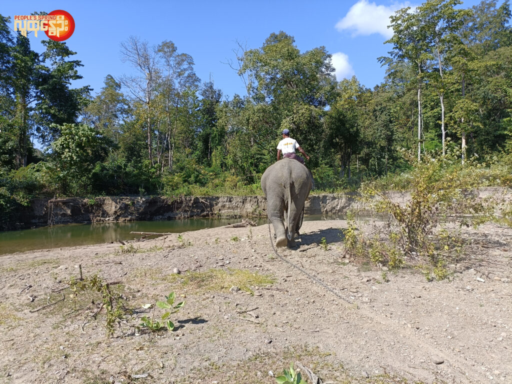 အာဏာသိမ်းမှုကြောင့် အလုပ်လက်မဲ့ဖြစ်သွားတဲ့ သစ်ဆွဲဆင်တွေ