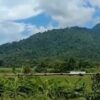 KIAထိန်းချုပ်ထား​သော လုံဂျာ​တောင်ကို စစ်တပ်ကလက်နက်ကြီးဖြင့်ပစ်ခတ်