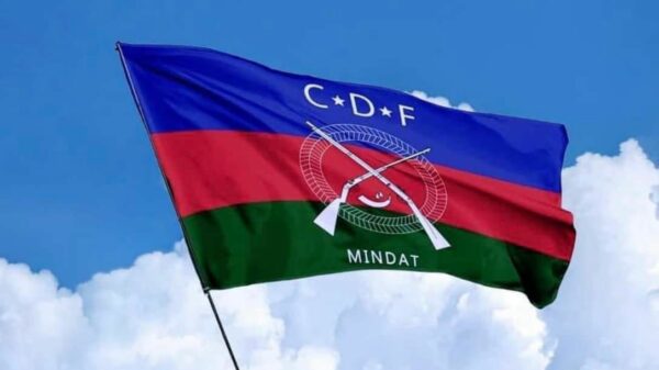လူမျိုးတစ်မျိုး၊ ပြည်နယ်ဒေသတစ်ခုတည်းမဟုတ်ဘဲ တိုင်းရင်းသားပြည်သူများအားလုံးအတွက် တိုက်ပွဲဝင်သွားမည်ဟု CDFမင်းတပ် အသိပေး
