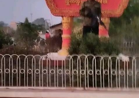 ဝက်လက်မြို့အဝင်တွင် တွေ့ရသည့် တော်လှန်ရေးရဲဘော်တစ်ဦး၊ ဓာတ်ပုံ - PAFD