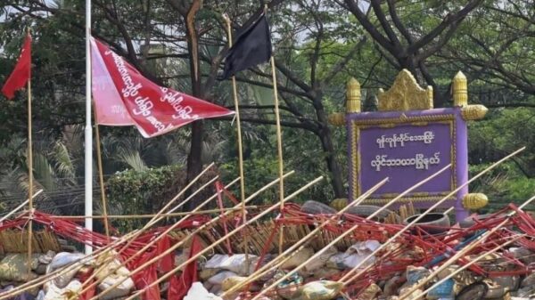 လှိုင်သာယာတွင် စစ်ကောင်စီအလိုကျ ပွဲများလုပ်ပျော်ပါးနေသည့် သတင်းပေးများအား ပြောက်ကျားတပ်ဖွဲ့က နောက်ဆုံးအကြိမ်သတိပေး