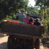 ကျုံဒိုးမြို့အနီးရွာများ စစ်တပ်က စစ်ဆင်ရေးဝင်လုပ်နေ