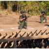 ဓာတ်ပုံ - ကျားသစ်နက် စစ်ကြောင်း