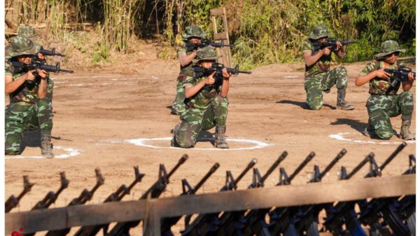 ဓာတ်ပုံ - ကျားသစ်နက် စစ်ကြောင်း