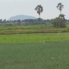 ရှင်မတောင်အား အဝေးမှတွေ့ရစဥ်၊ ဓာတ်ပုံ - CJ