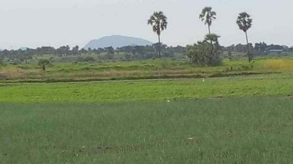 ရှင်မတောင်အား အဝေးမှတွေ့ရစဥ်၊ ဓာတ်ပုံ - CJ