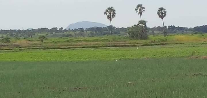 ရှင်မတောင်အား အဝေးမှတွေ့ရစဥ်၊ ဓာတ်ပုံ - CJ
