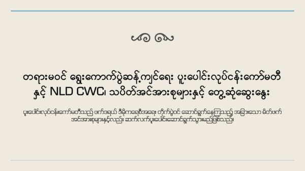စစ်ကောင်စီရွေးကောက်ပွဲဆန့်ကျင်ရေးကော်မတီ NLD နဲ့ သပိတ်အင်အားစုတွေကို တွေ့ဆုံ