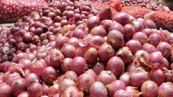 (စစ်​ကောင်စီကအ​မေရီကန် ဒေါ်လာရရှိရန် ကြက်သွန်နီ ပြည်ပတင်ပို့မှုကို တိုး၍ခွင့်ပြု​​နေသည်။ဓါတ်ပုံ-CJ)