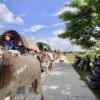 တန့်ဆည်မြို့နယ်တွင် ပြီးခဲ့သည့်နှစ်ကုန်ပိုင်းက စစ်ကောင်စီတပ်စစ်ကြောင်းကြောင့် ထွက်ပြေးတိမ်းရှောင်ခဲ့ရသော ဒေသခံပြည်သူများအား တွေ့ရစဥ်၊ ဓာတ်ပုံ - TCRF-PLA
