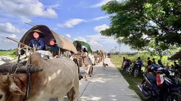တန့်ဆည်မြို့နယ်တွင် ပြီးခဲ့သည့်နှစ်ကုန်ပိုင်းက စစ်ကောင်စီတပ်စစ်ကြောင်းကြောင့် ထွက်ပြေးတိမ်းရှောင်ခဲ့ရသော ဒေသခံပြည်သူများအား တွေ့ရစဥ်၊ ဓာတ်ပုံ - TCRF-PLA