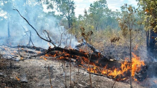 တောမီးလောင်တာ၊ လေထုညစ်ညမ်းတာတွေကို တားဆီးဖို့ ထိုင်းမှာ ၃ လ မီးမရှို့ရ အမိန့်ထုတ်