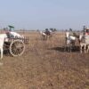 (စစ်​ကောင်စီတပ် က​ကျေးရွာများကိုမီးရှို့ ၊ပြည်သူများကိုဖမ်းဆီး သတ်ဖြတ်အကြမ်းဖက်မှုများ​ကြောင့်ထွက်​ပြေးတိမ်း​ရှောင်​နေကြ​သော အညာ​ဒေသမှ စစ်​ဘေးဒုက္ခသည်များ။ ဓါတ်ပုံ-CJ)