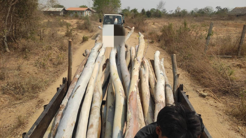 (မီးရှို့ခံရသည့်ကျေးရွာအား အိမ်တိုင်များလှူဒါန်းပေးနေစဥ်။ ဓာတ်ပုံ-Burma Ranger)