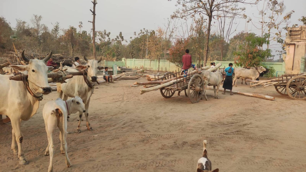 (မီးရှို့ခံရသည့်ကျေးရွာအား အိမ်တိုင်များလှူဒါန်းပေးနေစဥ်။ ဓာတ်ပုံ-Burma Ranger)