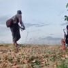 (စစ်ကောင်စီ၏ဘီလူးစစ်ကြောင်းအား မဟာမိတ်အဖွဲ့များ ပစ်ခတ်တိုက်ခိုက်နေစဥ်)