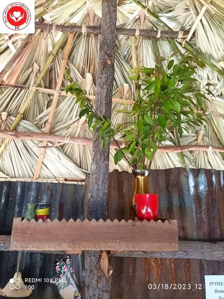 (အလုံးရေ ၅၀၀ မြောက်နေအိမ်အား တွေ့ရစဥ်။ ဓါတ်ပုံ-S&C)