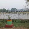 (ကချင်နှင့် စစ်ကိုင်တိုင်းအစပ်တစ်​နေရာတွင် စစ်ကားများအနားယူ​နေစဥ်။ဓါတ်ပုံ- CJ)