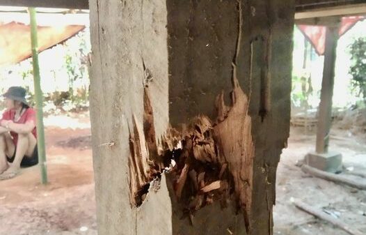 (စစ်ကောင်စီတပ် လက်နက်ကြီးပစ်ခတ်မှုကြောင့် ကျိုပ်ထိုမြို့နယ်ရှိ နေအိမ်တစ်လုံး​၏ အိမ်တိုင်ထိမှန်ထားသည်ကို တွေ့ရစဉ်။ ဓာတ်ပုံ - KNU)