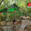 (စစ်ကောင်စီတပ် စီးနင်းမီးရှို့သွားသည့် လောင်းလုံးမြို့နယ် ပြည်သူ့ကာကွယ်ရေးတပ်ဖွဲ့ LLPDF(ပကဖ)မှ စခန်းတစ်ခုအား တွေ့ရစဥ်။ ဓာတ်ပုံ - LLPDF)