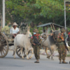 (၂ဝ၂၁ ဖေဖော်ဝါရီလ ၁၇ ရက်က နေပြည်တော်တွင် စစ်ကောင်စီတပ်ဖွဲ့ဝင်တချို့အား တွေ့ရစဉ်။ ဓာတ်ပုံ - AFP)