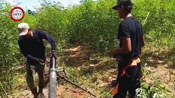 (စစ်ဆင်ရေးတစ်ခုတွင် တွေ့ရသည့် SBTF ရဲဘော်များ။ ဓာတ်ပုံ - SBTF)