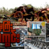 ဒေါတမကြီး သတ်ကွင်း