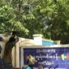 (၂၀၂၂ နိုဝင်ဘာ ၁၈ရက်တွင် မအူရဲစခန်းကိုPDF များ တိုက်ခိုက်ခဲ့စဥ်။ဓါတ်ပုံ-CJ)