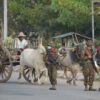 (နေပြည်တော်အနီး လမ်းမတစ်နေရာတွင် စစ်ဆေးနေသော စစ်ကောင်စီတပ်ဖွဲ့ဝင်တချို့ကို ယမန်နှစ် ဖေဖော်ဝါရီ ဒုတိယပတ်က တွေ့ရစဉ်။ ဓာတ်ပုံ- STR/AFP via Getty Images)